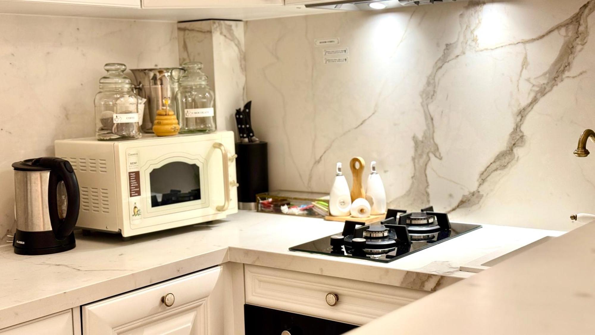 Fsf Boutique Apartament 티미쇼아라 외부 사진